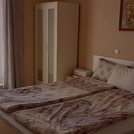 Dani Dream