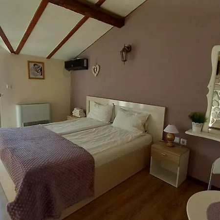 Dani Dream Πανσιόν Sapareva Banya