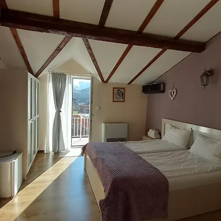 Dani Dream Πανσιόν Sapareva Banya