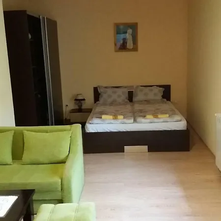 Dani Dream