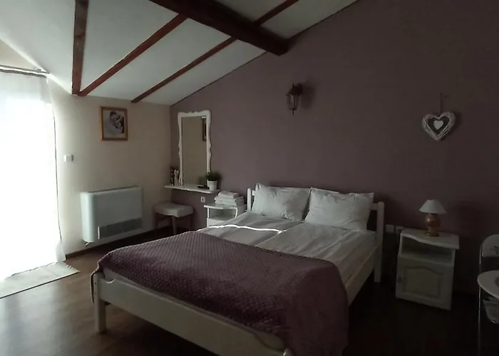 Dani Dream Sapareva Banya